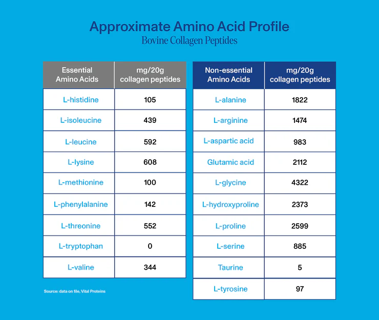 amino acids in vital proteins collagen