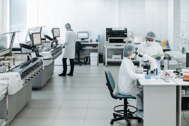 Hydrolysed bovine collagen powder showing bioavailable collagen peptides for supplementation